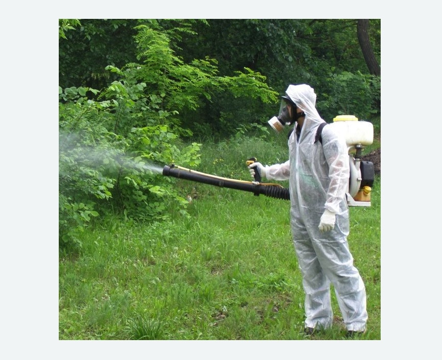 обработка территории от клещей в Бахчисарае