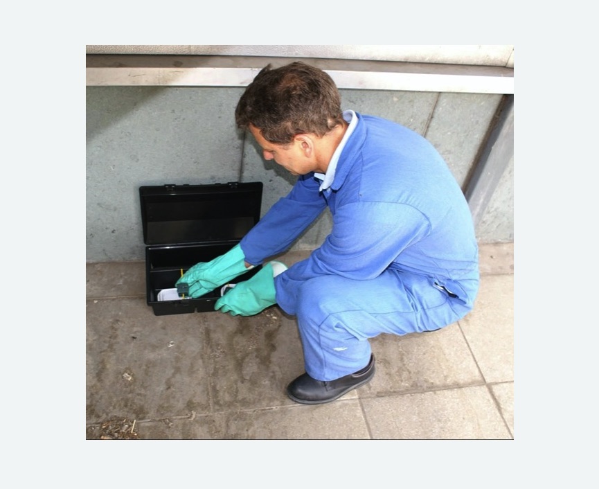 Уничтожение мышей в Бахчисарае Уничтожение мышей