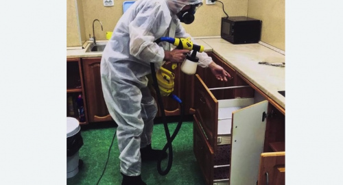Уничтожение насекомых в квартире. Бахчисарай