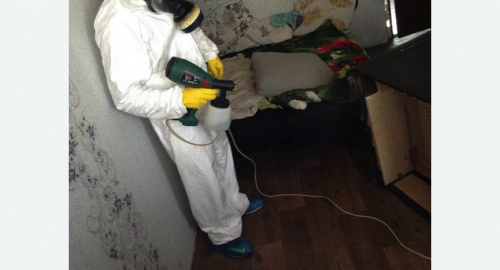 Обработка квартир от насекомых в Бахчисарае