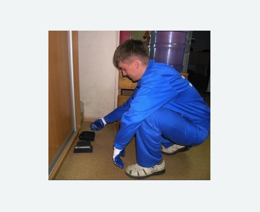 Дератизация крыс в Бахчисарае