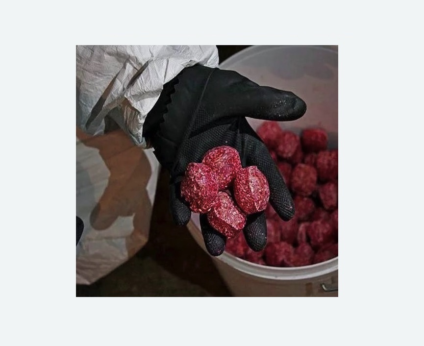 Обработка от крыс в Бахчисарае