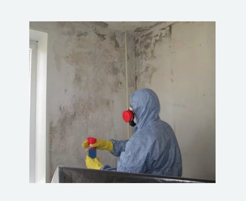 Удаление плесени в квартире в Бахчисарае
