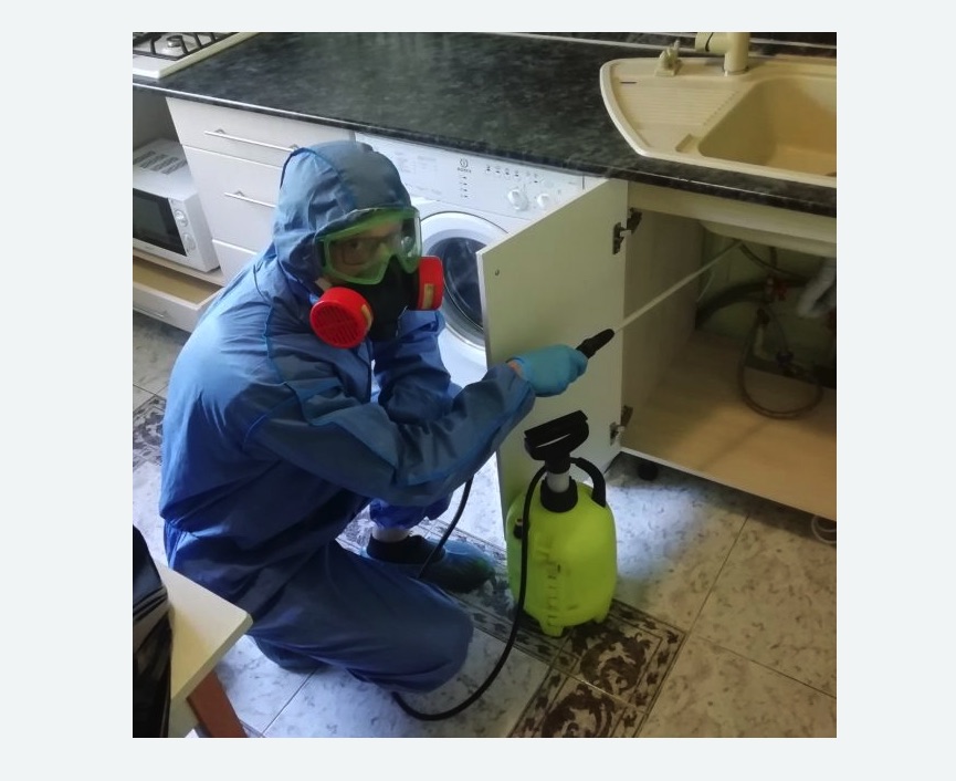 обработка от муравьев в квартире в Бахчисарае