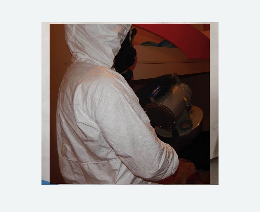 Дезинфекция от муравьев в Бахчисарае