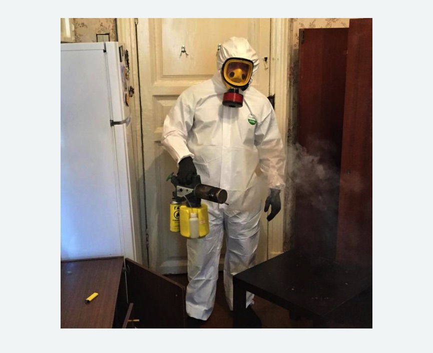 уничтожение муравьев в квартире в Бахчисарае